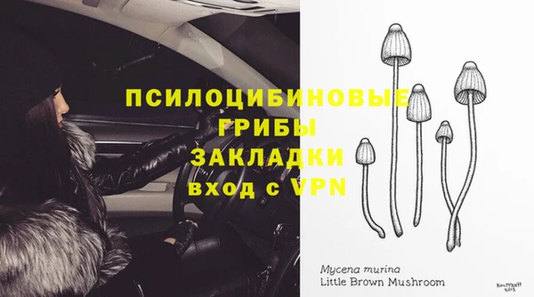 прущая мука Гусь-Хрустальный